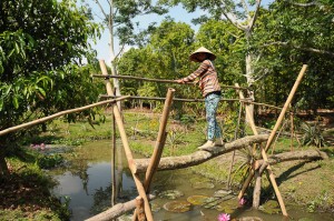 Vietnam, Mekong-Delta, schwimmende Märkte, Can Tho, river, Kanäle, Boot, boat, Reiseberichte, www.wo-der-pfeffer-waechst.de