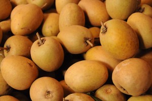 Vietnam, Vietnamesisches, Obst, Frucht, Früchte, Nha Trang, Markt, Breiapfelbaum, Sapodilla, www.wo-der-pfeffer-waechst.de