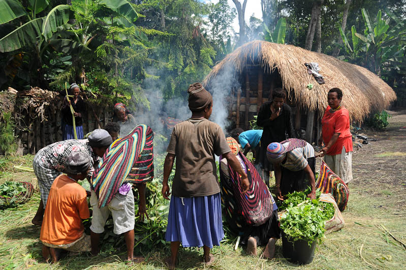 Indonesien, West-Papua, Baliem-Tal, valley, Wamena, Dani, tribe, Stammesdorf, Dorffest, Ostern, Frauen, Kochen, Feuer, earth cooking,, Reisebericht, www.wo-der-pfeffer-waechst.de