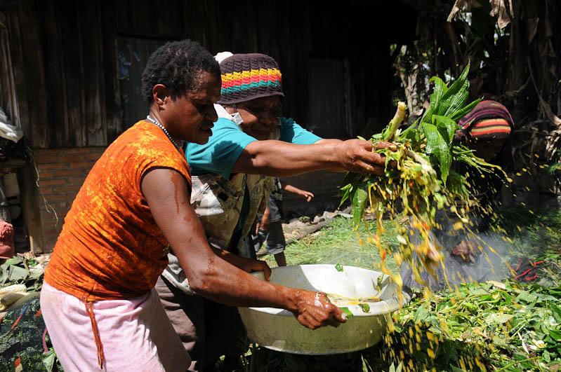 Indonesien, West-Papua, Baliem-Tal, valley, Wamena, Dani, tribe, Stammesdorf, Dorffest, Ostern, Kochen, Feuer, earth cooking, Reisebericht, www.wo-der-pfeffer-waechst.de