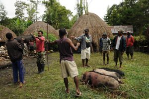 Indonesien, West-Papua, Baliem-Tal, valley, Wamena, Dani, tribe, Stammesdorf, Dorffest, Ostern, Wildschwein, Reisebericht, www.wo-der-pfeffer-waechst.de