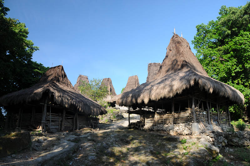 Sumba, Insel, Indonesien, traditionelle Dörfer, Dorf, Häuser, traditional, houses, Marapu, Religion, Reisebericht, www.wo-der-pfeffer-waechst.de