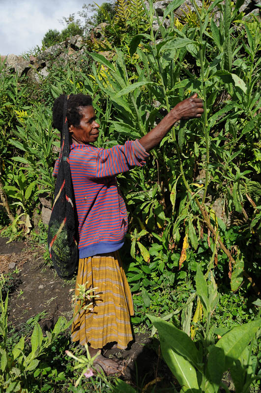 Indonesien, West-Papua, Wamena, Baliem-Tal, valley, Trekking, Frau, Noken, www.wo-der-pfeffer-waechst.de