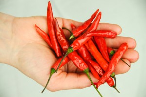Extrem scharf: Rote Chilischoten