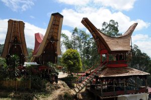 Totenturm, Begräbniszeremonie, Tana Toraja, Sulawesi, Island, Insel, Indonesien, Indonesia, Totenkult, Reiseberichte, Foto: Heiko Meyer, www.wo-der-pfeffer-waechst.de