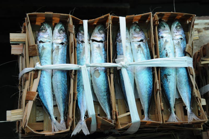 Yogyakarta, Java, Markt, market, Pasar Beringharjo, Fisch, 50 Bilder, die sofort Lust auf eine Indonesien-Reise machen, Indonesia, Reiseberichte, Foto: Heiko Meyer, www.wo-der-pfeffer-waechst.de