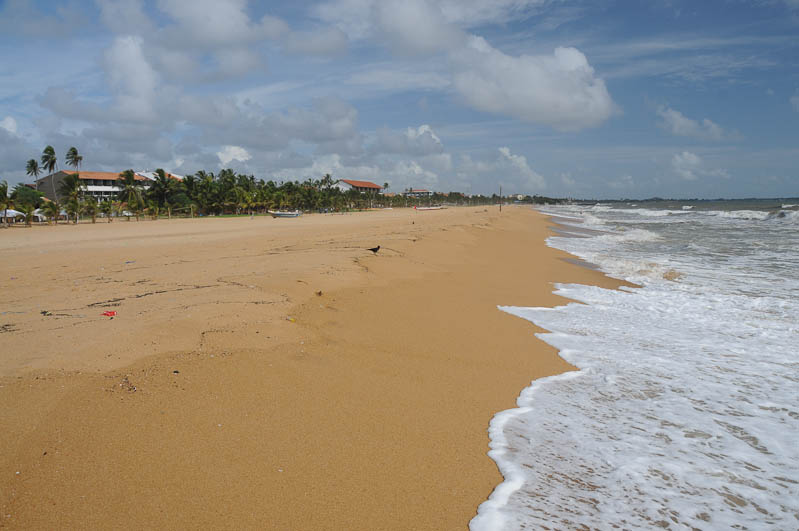 Sri Lanka, Ceylon, Negombo, Beach, Strand, Strände, Insel, Reisebericht, www.wo-der-pfeffer-waechst.de