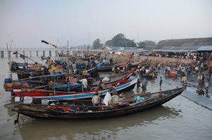 Sittwe, Fischmarkt, Fischerboote, Akyab, Rakhine-Staat, State, Division, Myanmar, Burma, Birma, Reisebericht, www.wo-der-pfeffer-waechst.de