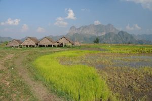 Hpa An, Karen, Kayin, Staat, State, Landschaft, Reisfelder, Myanmar, Burma, Birma, Reiseberichte, www.wo-der-pfeffer-waechst.de