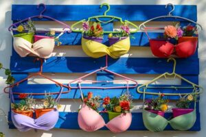 Blumentöpfe, BH, Chalki, Naxos, Stillleben