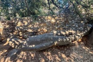 Der Kouros von Flerio auf Naxos