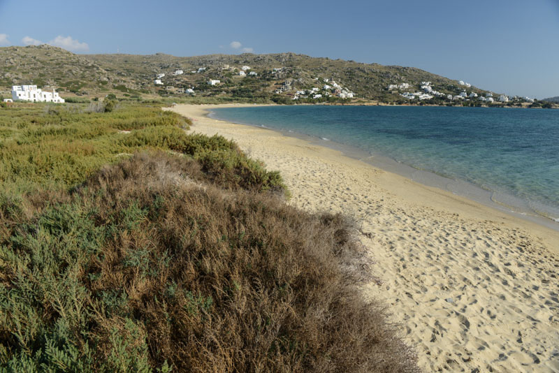 Naxos, Plaka Beach, Strand, Strände, Kykladen, Griechenland, Inselhüpfen, Island-Hopping, griechische, Inseln, Mittelmeer, Bilder, Fotos, Reiseberichte, www.wo-der-pfeffer-waechst.de