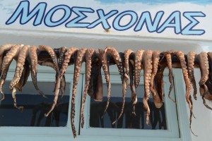 Paros, Naoussa, Altstadt, Hafen, getrocknete Tintenfische, Oktopus, Kraken, Kykladen, Griechenland, Inselhüpfen, Island-Hopping, griechische Inseln, Mittelmeer, Bilder, Fotos, Reiseberichte, www.wo-der-pfeffer-waechst.de