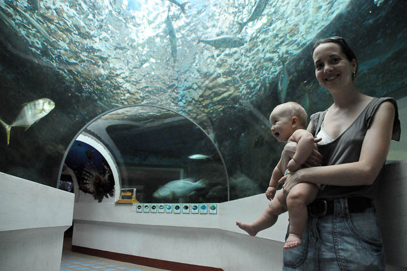 Aquarium, Laem Sadet Beach, Chao Lao Beach, Chanthaburi, Golf von, Thailand, Geheimtipps, Reisen mit Kindern, Babys, Kleinkindern, Elternzeit, Strände, Asien, Reiseberichte, Reiseblogger, www.wo-der-pfeffer-waechst.de