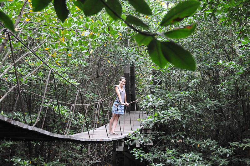 Mangrovenwald, Krung Krabaen Bay Nature Center, Laem Sadet Beach, Chao Lao Beach, Chanthaburi, Golf von, Thailand, Geheimtipps, Reisen mit Kindern, Babys, Kleinkindern, Elternzeit, Strände, Asien, Reiseberichte, Reiseblogger, www.wo-der-pfeffer-waechst.de