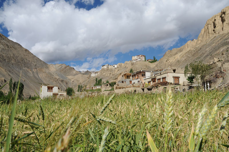 Lamayuru, Lamayuru-Gompa, Kloster, Landschaft, Ladakh, Indien, indischer Himalaya, Himalaja-Gebirge, Leh, Indus-Tal, Reisetipps, Rundreisen, Asien, Reiseberichte, Reiseblogger, www.wo-der-pfeffer-waechst.de