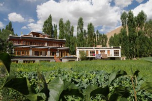 Leh, Silver Cloud Guesthouse, Gästehaus, Hotel, room, accommodation, Homestay, Ladakh, Indien, indischer Himalaya, Himalaja-Gebirge, Jammu und Kashmir, Reisetipps, Rundreisen, Asien, Reiseberichte, Reiseblogger, www.wo-der-pfeffer-waechst.de