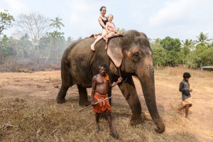 Elefantenreiten, Varkala, Indien, Südindien, Kerala, Reisetipps, Reisen mit Kindern, Rundreisen, Asien, Reiseberichte, Reiseblogger, www.wo-der-pfeffer-waechst.de
