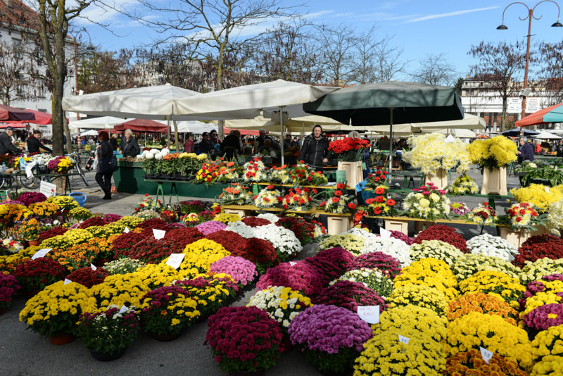 Ljubljana, Laibach, Slowenien, Slovenia, Balkan, Markt, Blumen, Kurzurlaub, Reisen mit Kindern, Städtetrip, Sehenswürdigkeiten, Südosteuropa, Balkan, Bilder, Fotos, Reiseberichte, Herbsturlaub, Herbstferien, www.wo-der-pfeffer-waechst.de