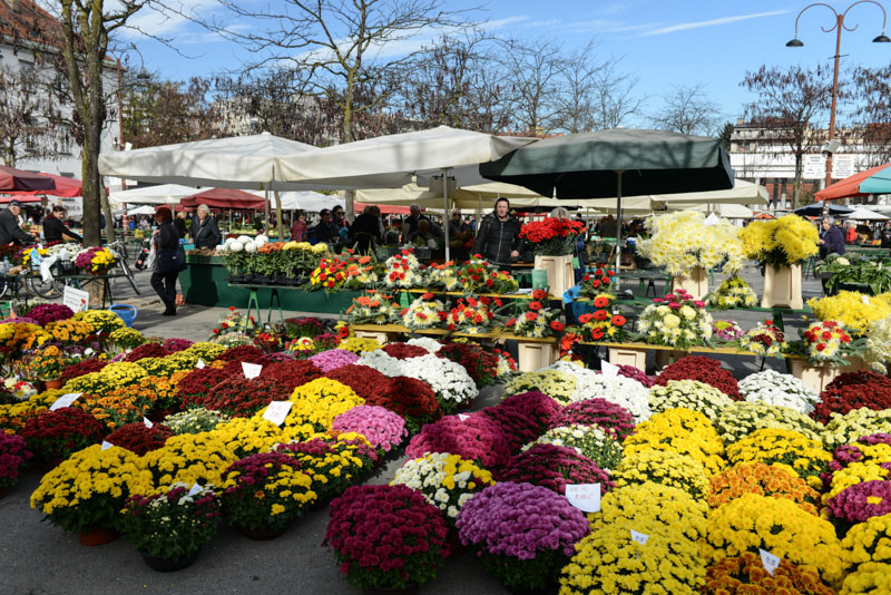 Ljubljana, Laibach, Slowenien, Slovenia, Balkan, Markt, Blumen, Kurzurlaub, Reisen mit Kindern, Städtetrip, Sehenswürdigkeiten, Südosteuropa, Balkan, Bilder, Fotos, Reiseberichte, Herbsturlaub, Herbstferien, www.wo-der-pfeffer-waechst.de 