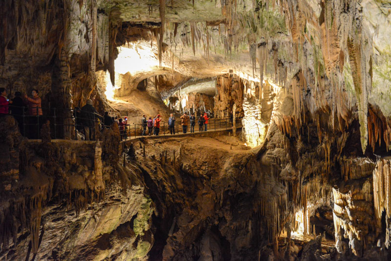 Höhle von Postojna, Tropfsteinhöhle, cave, Jama, Slowenien, Slovenia, Ausflug, Tagestour, Kurzurlaub, Reisen mit Kindern, Sehenswürdigkeiten, Südosteuropa, Balkan, Bilder, Fotos, Reiseberichte, Herbsturlaub, Herbstferien, www.wo-der-pfeffer-waechst.de