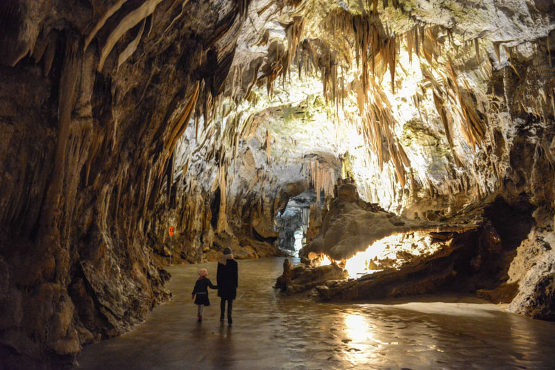 Höhle von Postojna, cave, Jama, Slowenien, Slovenia, Ausflug, Tagestour, Kurzurlaub, Reisen mit Kindern, Sehenswürdigkeiten, Südosteuropa, Balkan, Bilder, Fotos, Reiseberichte, Herbsturlaub, Herbstferien, www.wo-der-pfeffer-waechst.de