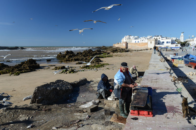 Essaouira, Hafen, harbour, port, Marokko, Reisen, Bilder, Infos, Reisebericht, Reisetipps, Afrika, Reiseblogger, www.wo-der-pfeffer-waechst.de