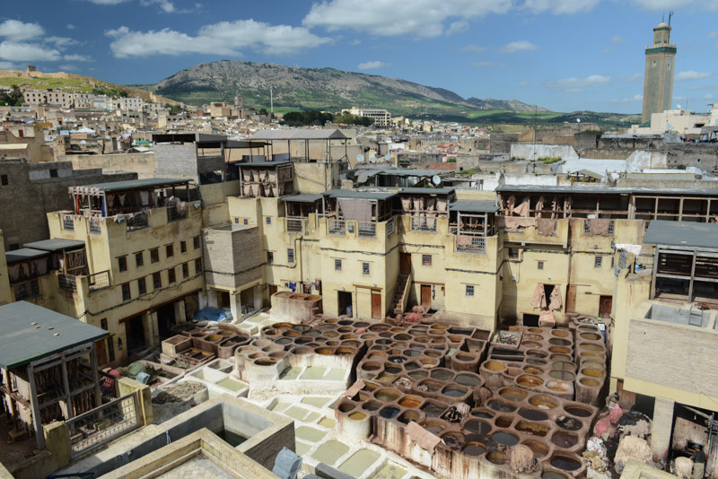 Fes, Fès, Fez, Marokko, Gerbereien, Tanneries, Färberviertel, Terrasse, Medina, Altstadt, Reisebericht, www.wo-der-pfeffer-waechst.de