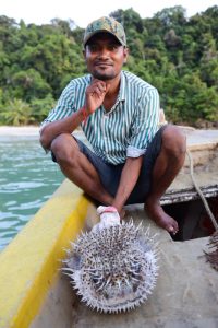Kugelfisch, blowfish, pufferfish, Bootstour, Boat Trip, Koh Rong, Kambodscha, Cambodia, Südostasien, Bilder, Fotos, Reiseberichte, www.wo-der-pfeffer-waechst.de