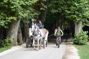 Pferdekutsche, Platanen-Allee, Vrelo Bosne, Quelle der Bosna, Sarajevo, Sehenswürdigkeiten, Ausflüge, Bosnien-Herzegowina, Hauptstadt, Reisebericht, Reisetipps, Südosteuropa, Balkan, Bilder, Foto: Heiko Meyer, www.wo-der-pfeffer-waechst.de