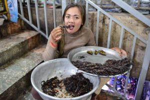Frittierte Vogelspinnen mit Knoblauch, Tarantula, Snack, Streetfood, Verkäuferin, Russenmarkt, Phnom Penh, Psar Russei, Psar Tuol Tom Pong, Reisebericht, Kambodscha, Hauptstadt, Cambodia, Reisetipps, Sehenswürdigkeiten, Südostasien, Bilder, Foto: Heiko Meyer, www.wo-der-pfeffer-waechst.de