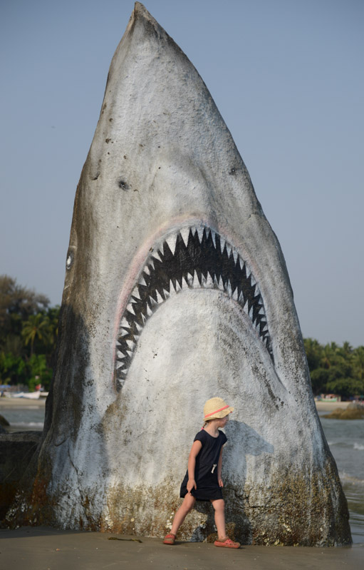Reisen mit Kindern, Palolem Beach, Goa, weißer Hai, Felsen, Strände, Strand, Südgoa, Indien, India, Südasien, Bilder, Fotos, Reiseberichte, Foto: Heiko Meyer, www.wo-der-pfeffer-waechst.de