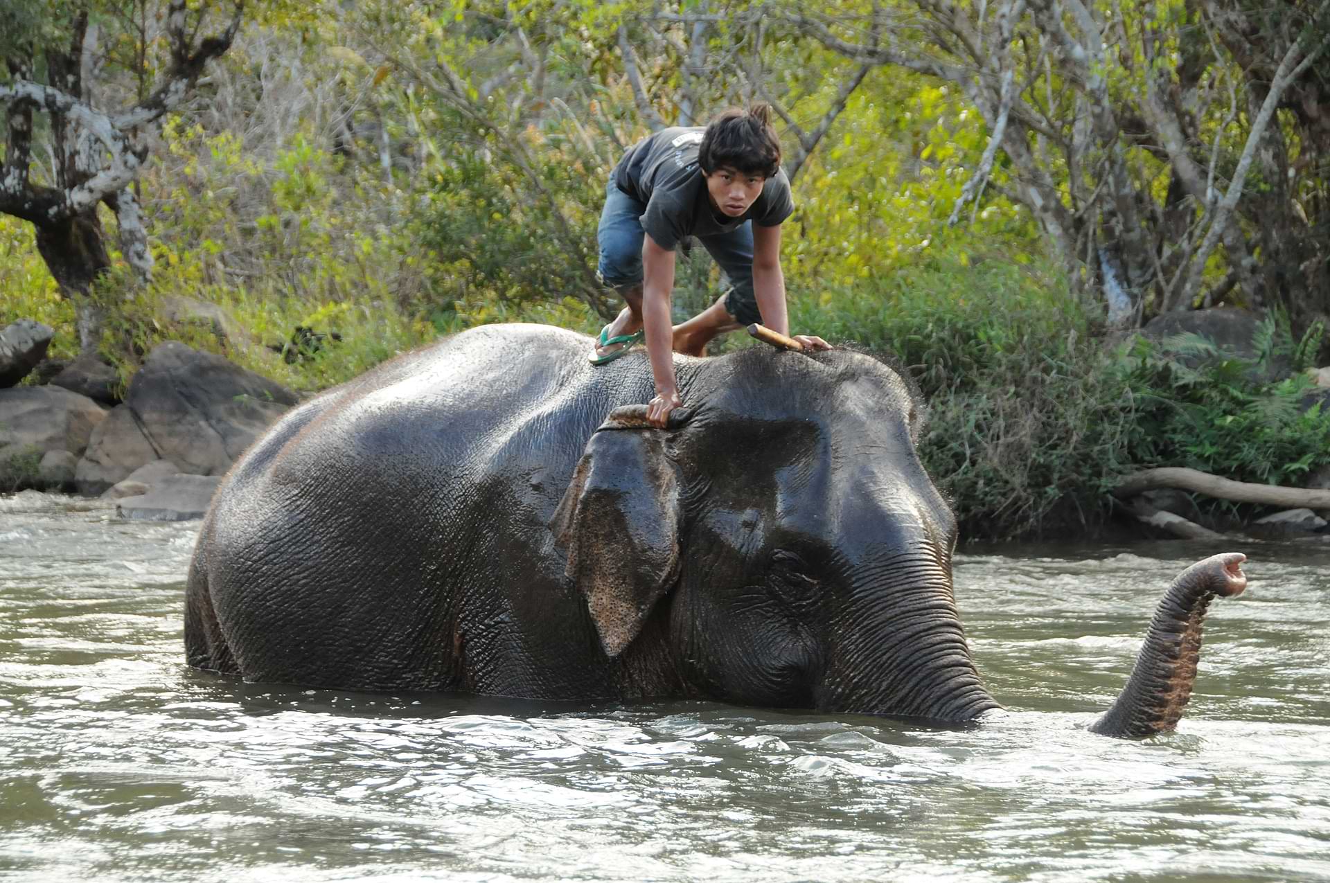 Südlaos, Southern, Laos, Süden, Reiseziele, Bolaven-Plateau, Wasserfälle, Elefanten, Tadlo Lodge, Mekong, Reisebericht, Reisetipps, Rundreisen, Südostasien, Reiseblogger, www.wo-der-pfeffer-waechst.de