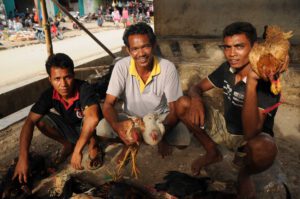 Sumba, Indonesien, Reisebericht, Waikabubak, Markt, Geflügelhändler, Hühner, Foto: Heiko Meyer