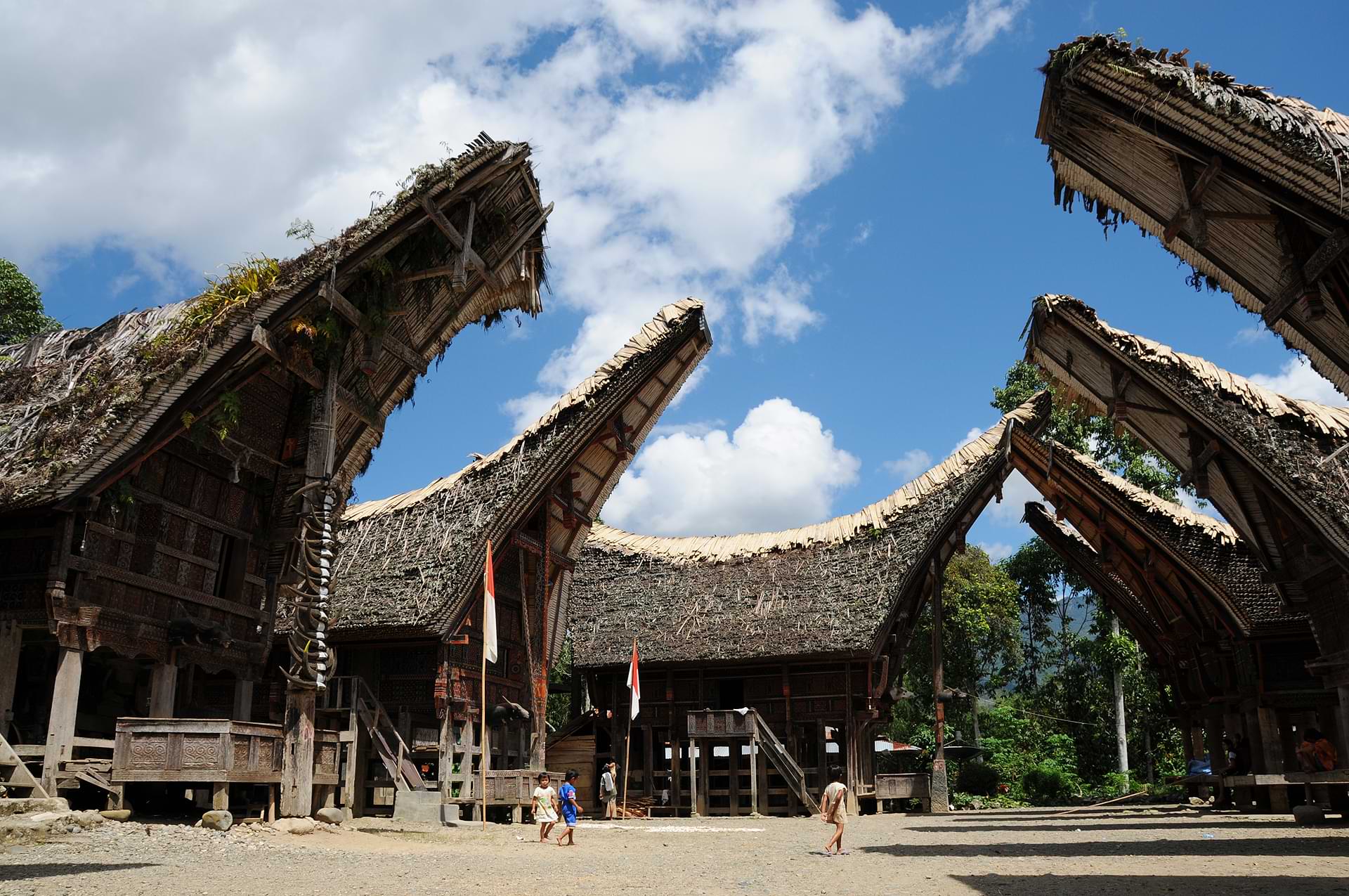 Tana Toraja, Sulawesi, Reisebericht, Indonesien, Indonesia, Totenkult, Begräbniszeremonien, Tongkonan, www.wo-der-pfeffer-waechst.de