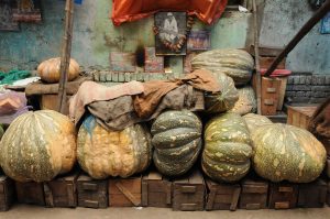 Rezepte, Kürbisse, Indien, Delhi, Markt, Foto: Heiko Meyer