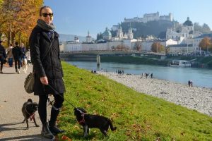Salzburg, Reisebericht, Herbst, Salzach, Reisen mit Hunden, Foto: Heiko Meyer