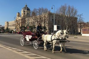 Wien, Reisebericht, Österreich, Städtetrip, Pferdekutsche, Sehenswürdigkeiten, Blog