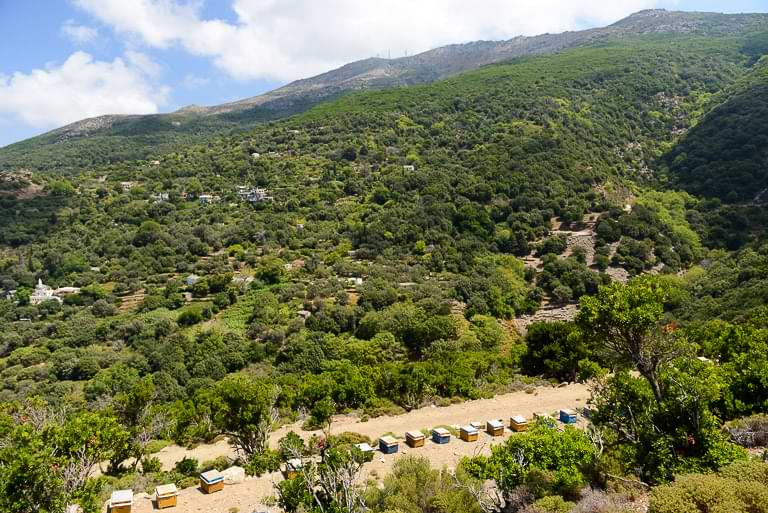 Ikaria, Reisebericht, Berglandschaft, Griechenland, Blog