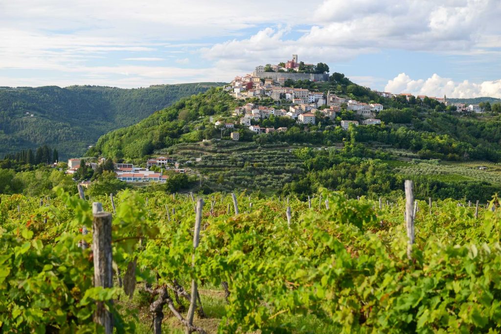 Istrien, Reisebericht, Kroatien, Motovun, Bergdorf