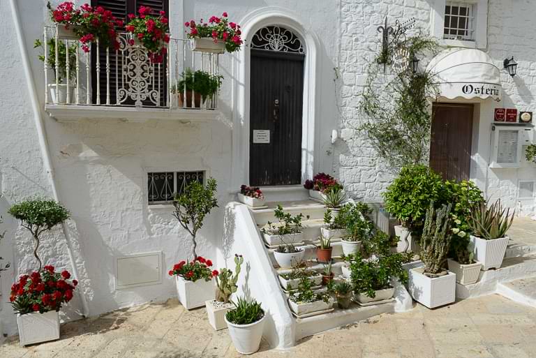 Ostuni, weiße Stadt, Citta Blance, Pflanzen, Apulien, Reisebericht, Italien
