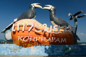 Reisebericht, Koh Phayam-Pier, Thailand, Insel, Nashornvogel
