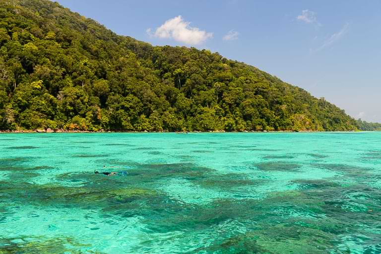 Surin-Inseln, Schnorcheln, Thailand, Bootsausflug, Koh Phayam, Korallen, klares Wasser, Reisebericht