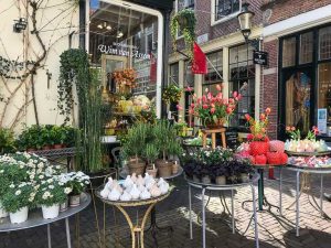 Blumenladen, Alkmaar, Tagesausflug, Reisebericht, Niederlande