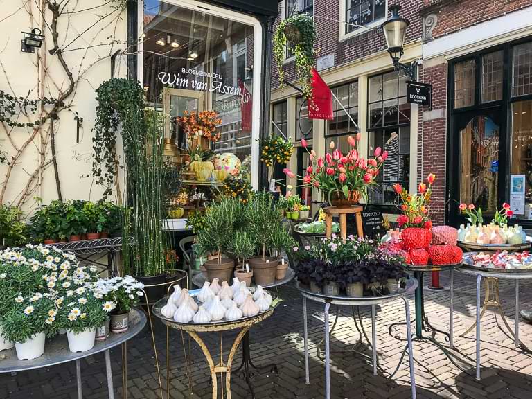 Blumenladen, Alkmaar, Tagesausflug, Reisebericht, Niederlande
