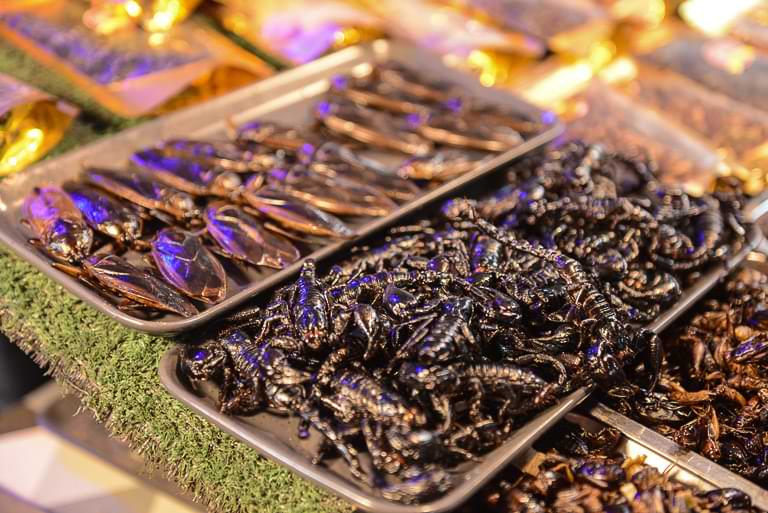 frittierte Skorpione, Kakerlaken, Insekten, Bang Niang Night Market, Khao Lak, Nachtmarkt