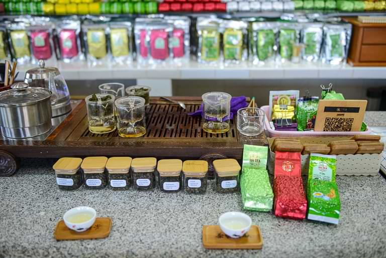 101 Teaplantation, Mae Salong, Teeverkostung, Teeprobe, Thailand
