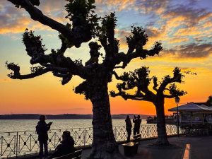 Abendstimmung an der Seepromenade von Meersburg