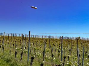 Ein Zeppelin kreist über die Bodenseeregion mit ihren Weinbergen