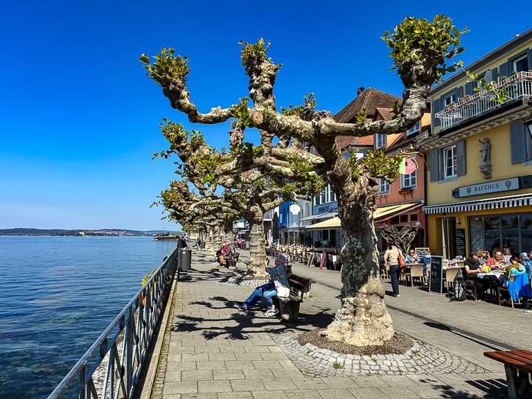 Die Seepromenade von Meersburg führt direkt am Bodensee entlang